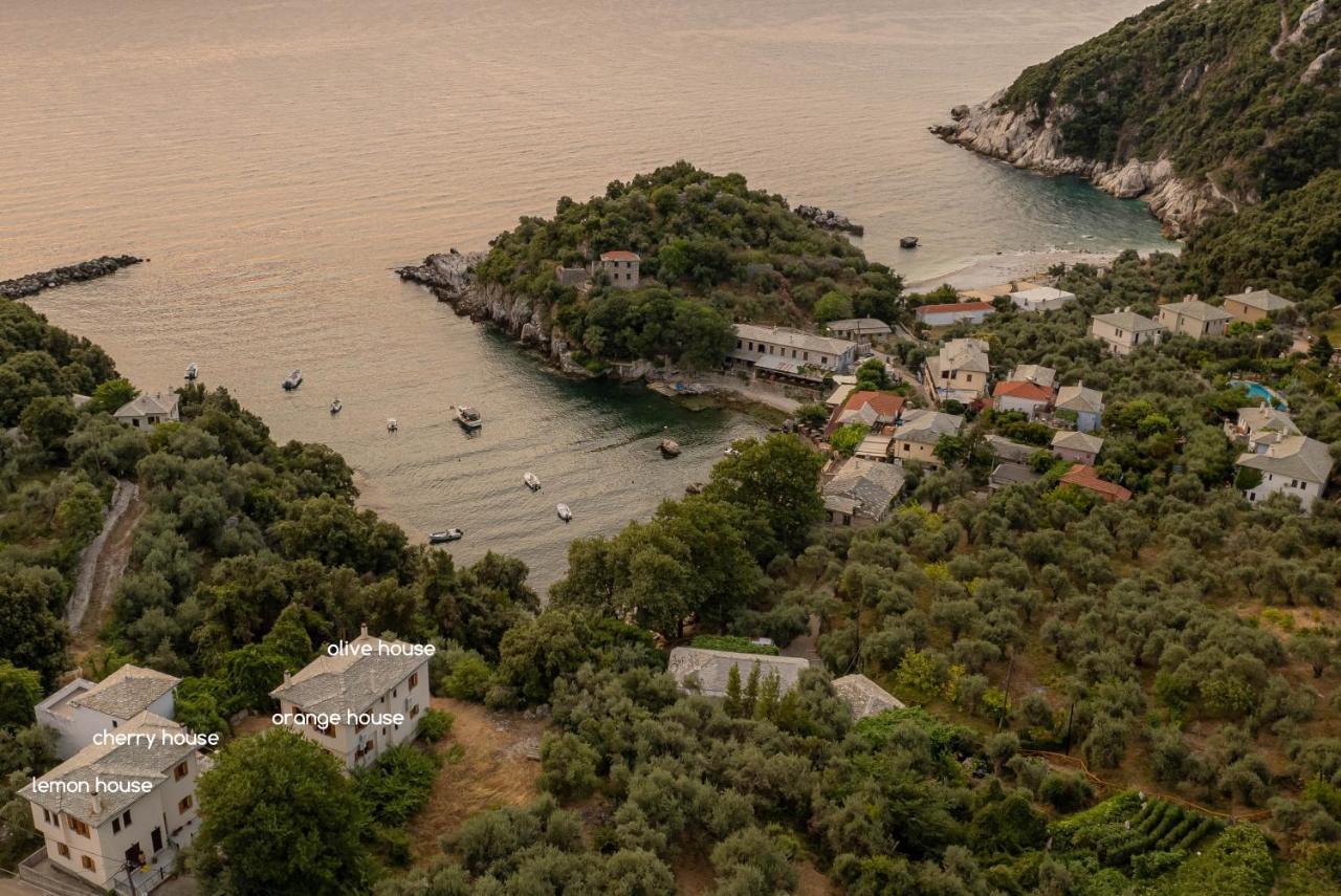 Olive House In Damouchari With A Sea View - Delicious Houses Dış mekan fotoğraf