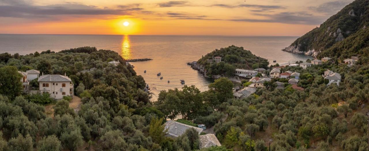 Olive House In Damouchari With A Sea View - Delicious Houses Dış mekan fotoğraf